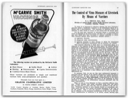 1964 Page 26 27